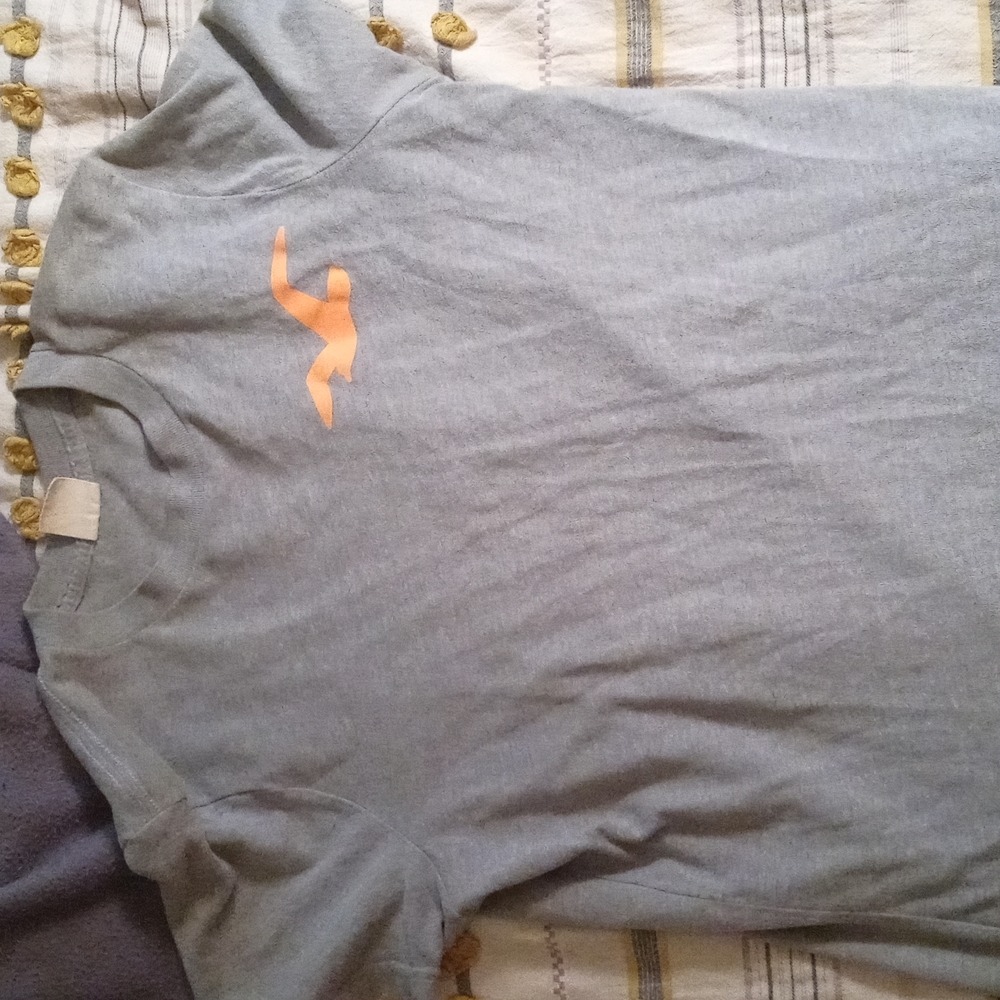 Hollister grey t-shirt, size M